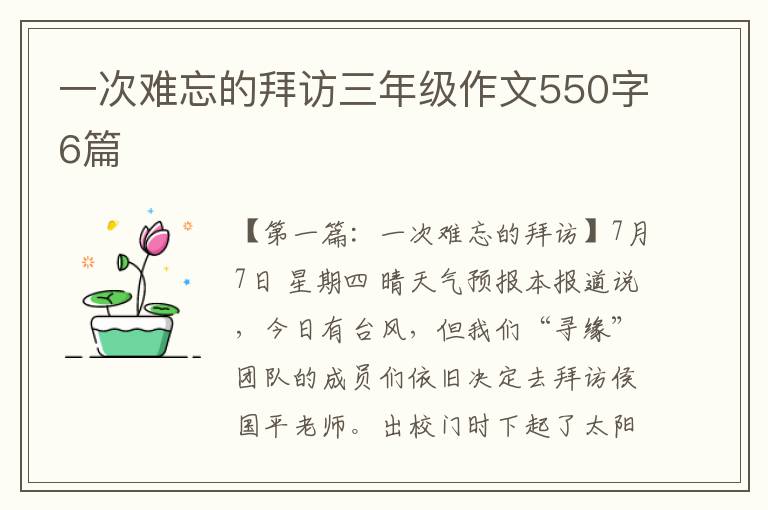 一次难忘的拜访三年级作文550字6篇