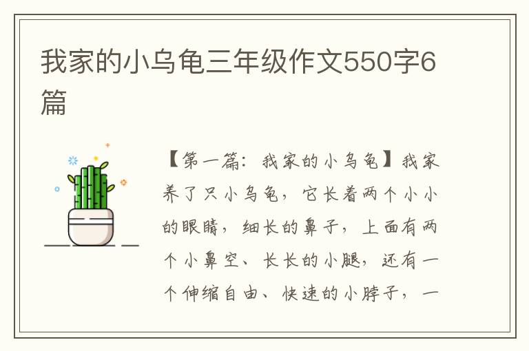 我家的小乌龟三年级作文550字6篇