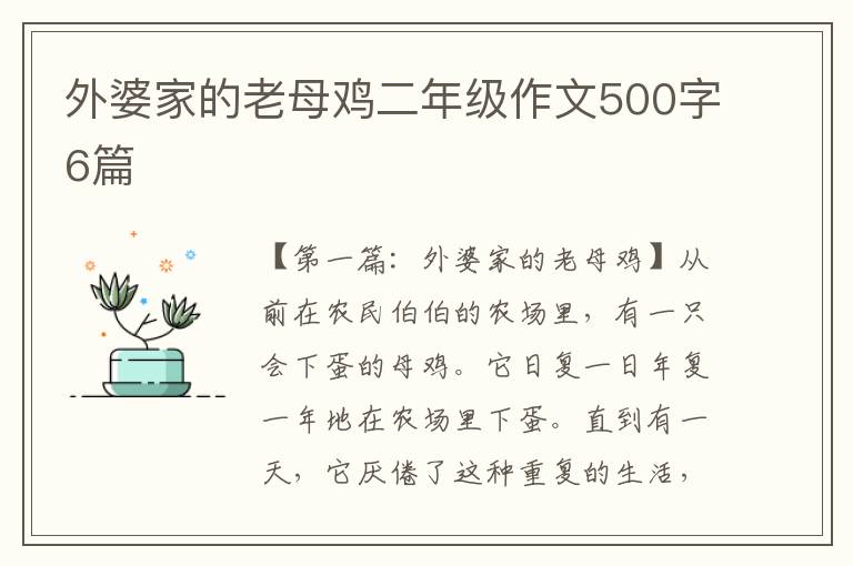 外婆家的老母鸡二年级作文500字6篇