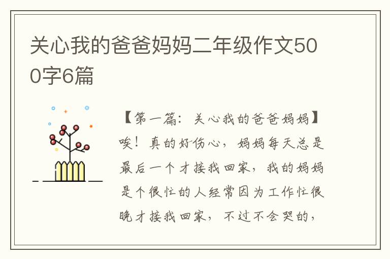 关心我的爸爸妈妈二年级作文500字6篇