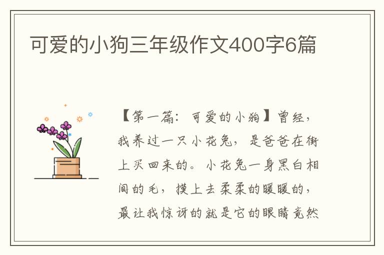 可爱的小狗三年级作文400字6篇