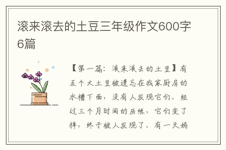 滚来滚去的土豆三年级作文600字6篇