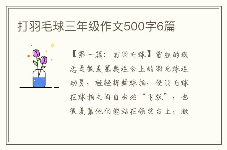 打羽毛球三年级作文500字6篇