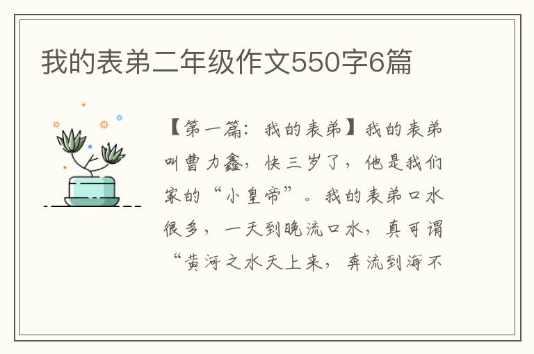 我的表弟二年级作文550字6篇