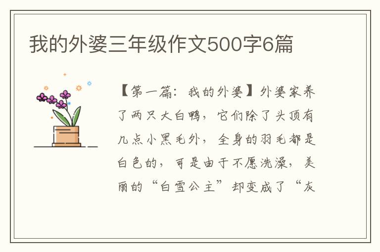 我的外婆三年级作文500字6篇