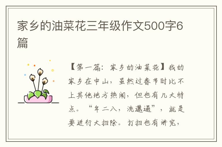 家乡的油菜花三年级作文500字6篇