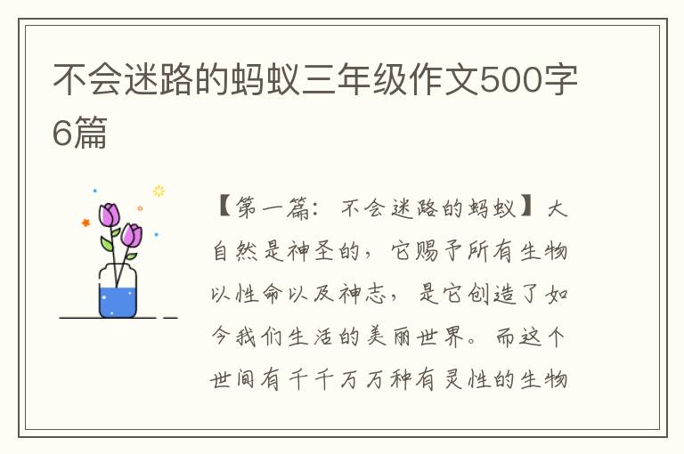 不会迷路的蚂蚁三年级作文500字6篇