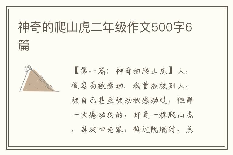 神奇的爬山虎二年级作文500字6篇