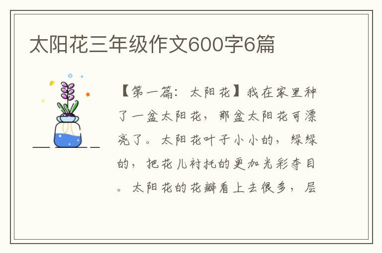 太阳花三年级作文600字6篇