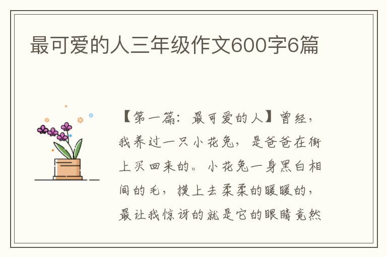 最可爱的人三年级作文600字6篇