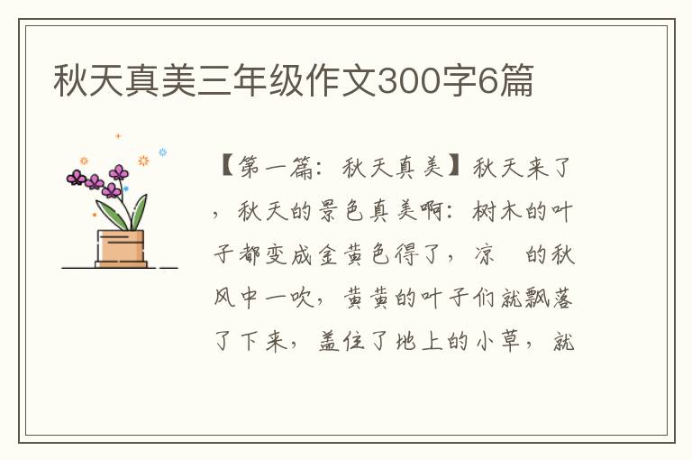 秋天真美三年级作文300字6篇