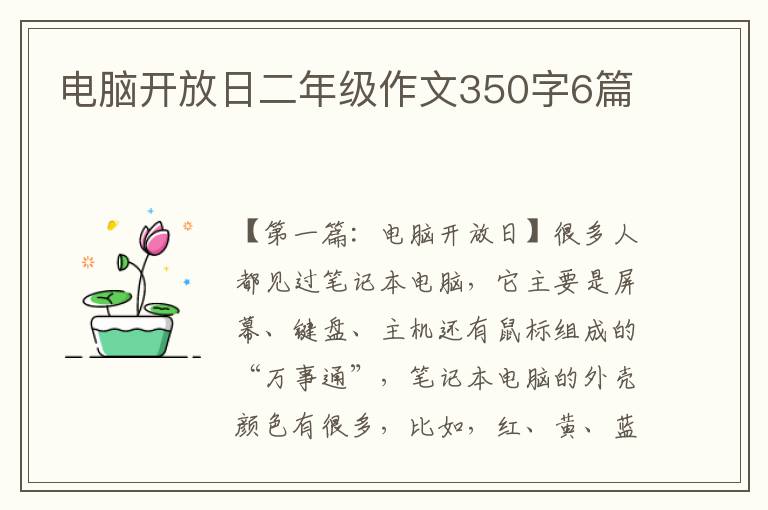 电脑开放日二年级作文350字6篇