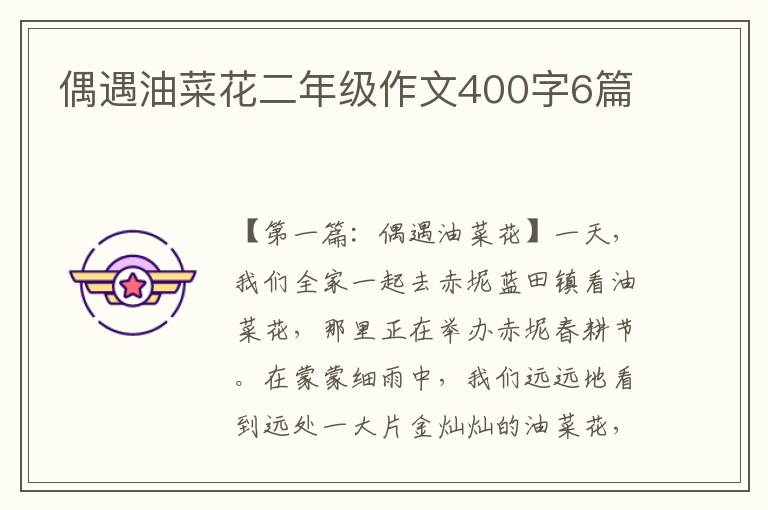 偶遇油菜花二年级作文400字6篇