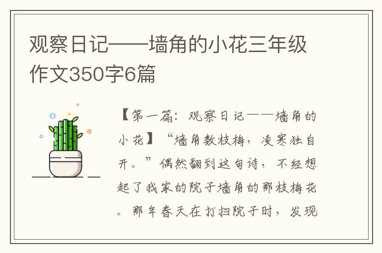 观察日记——墙角的小花三年级作文350字6篇