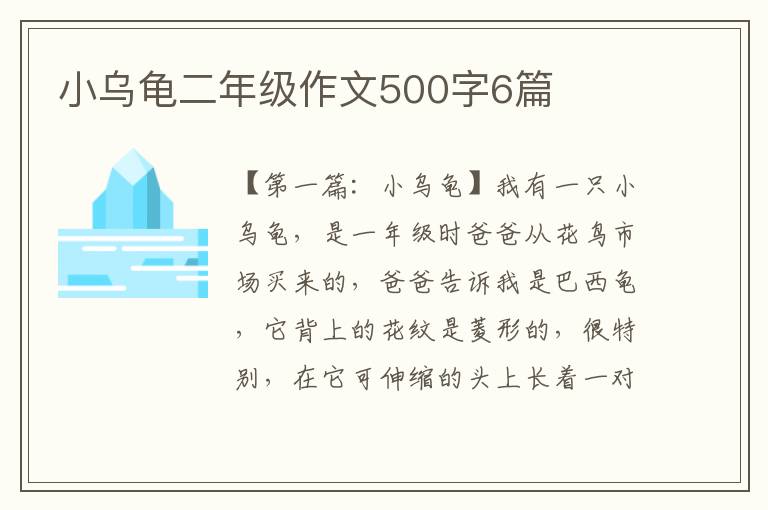 小乌龟二年级作文500字6篇