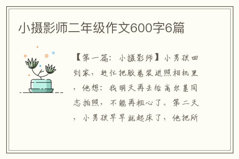 小摄影师二年级作文600字6篇