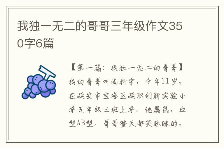 我独一无二的哥哥三年级作文350字6篇