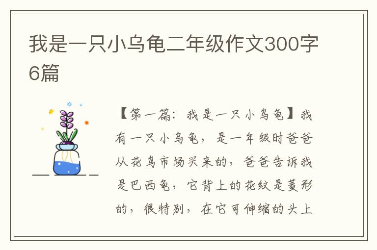 我是一只小乌龟二年级作文300字6篇