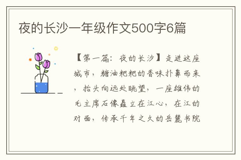 夜的长沙一年级作文500字6篇