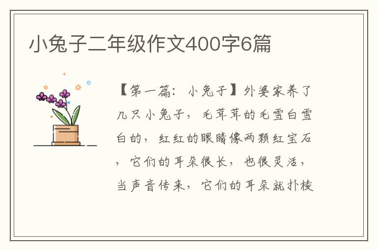 小兔子二年级作文400字6篇