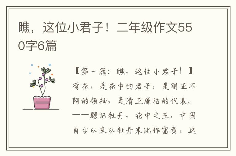 瞧，这位小君子！二年级作文550字6篇