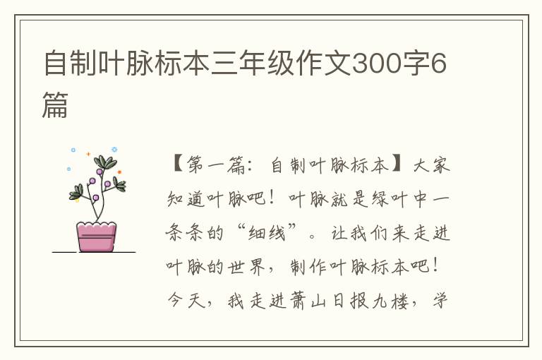 自制叶脉标本三年级作文300字6篇