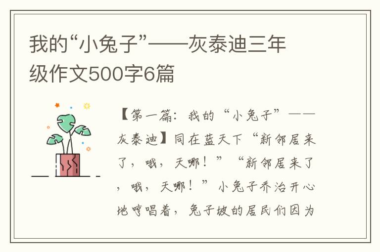 我的“小兔子”——灰泰迪三年级作文500字6篇