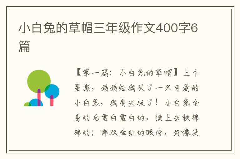 小白兔的草帽三年级作文400字6篇