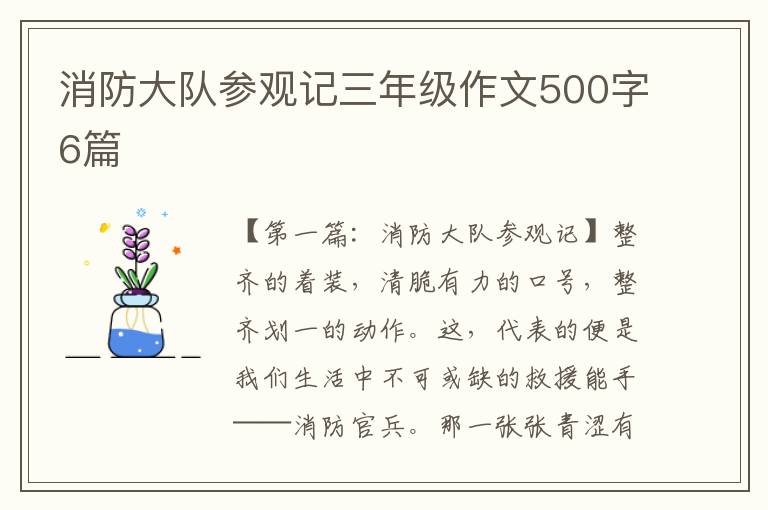 消防大队参观记三年级作文500字6篇