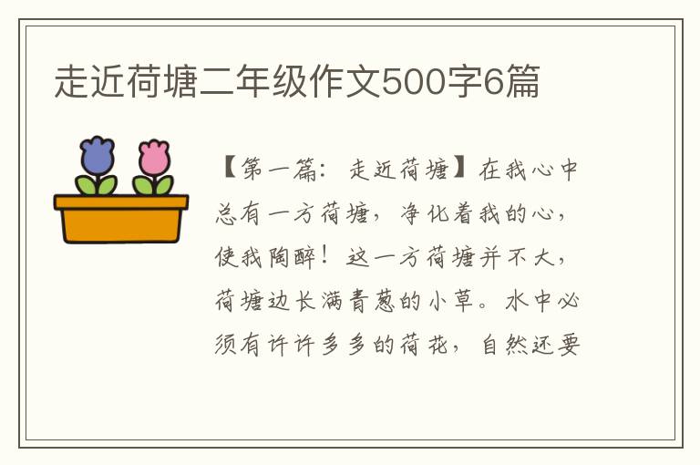 走近荷塘二年级作文500字6篇