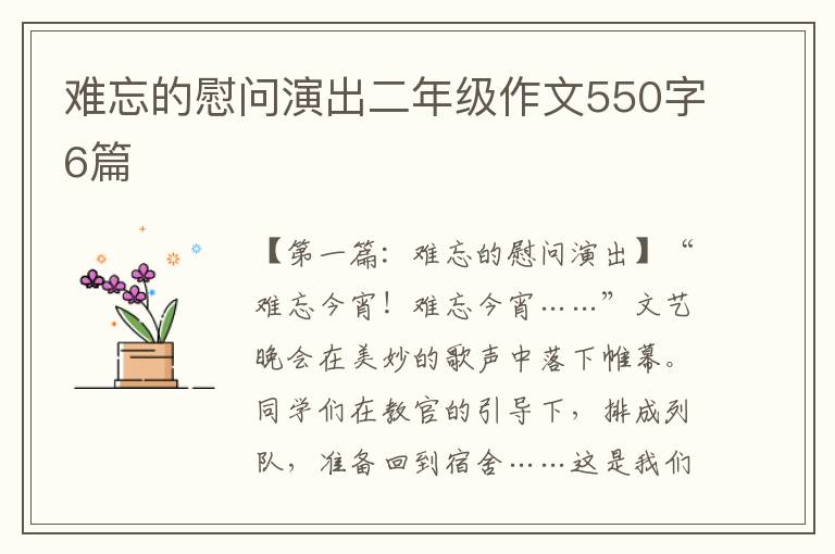 难忘的慰问演出二年级作文550字6篇