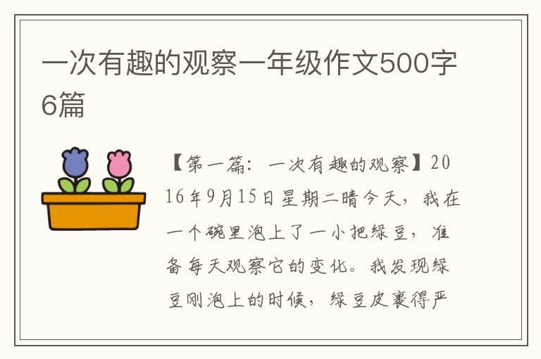 一次有趣的观察一年级作文500字6篇