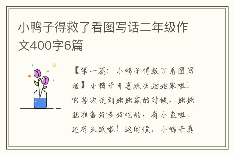 小鸭子得救了看图写话二年级作文400字6篇