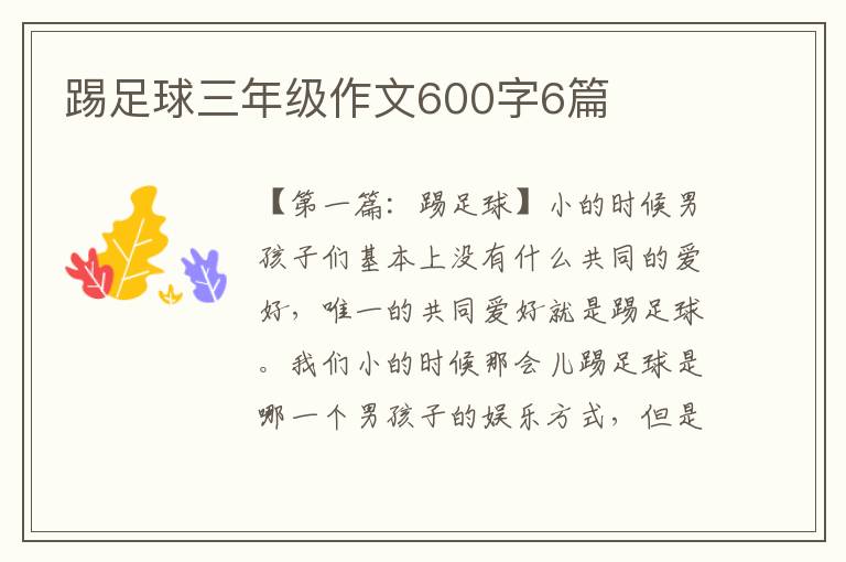 踢足球三年级作文600字6篇