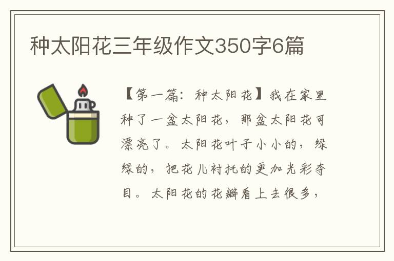 种太阳花三年级作文350字6篇