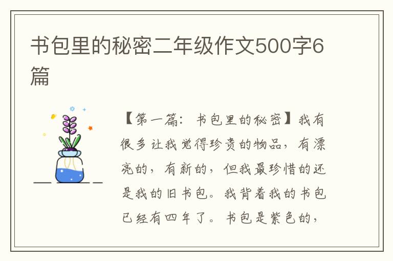 书包里的秘密二年级作文500字6篇