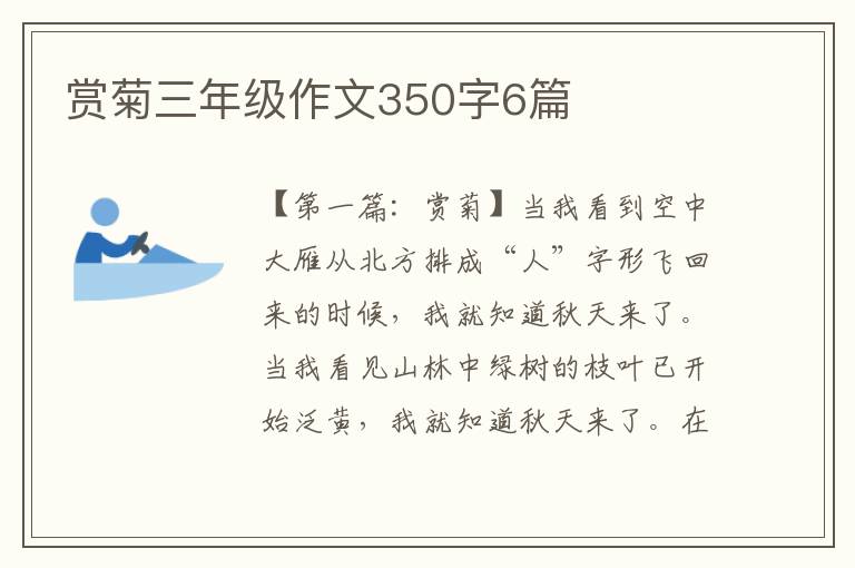 赏菊三年级作文350字6篇