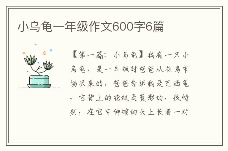 小乌龟一年级作文600字6篇