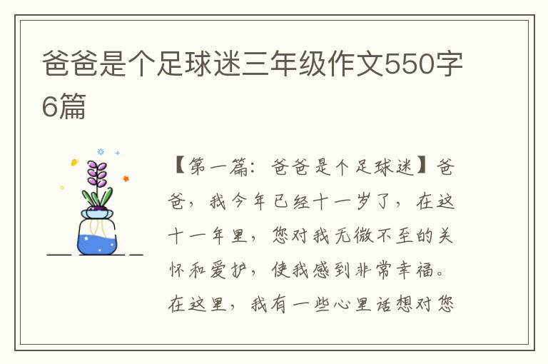 爸爸是个足球迷三年级作文550字6篇