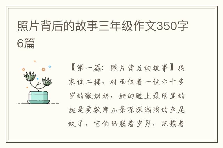 照片背后的故事三年级作文350字6篇