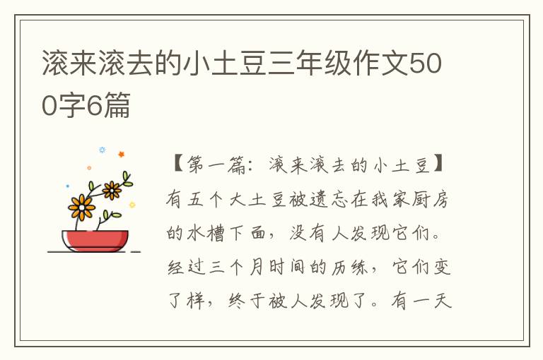 滚来滚去的小土豆三年级作文500字6篇