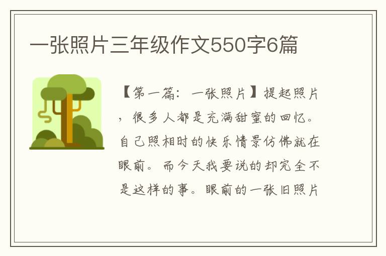 一张照片三年级作文550字6篇