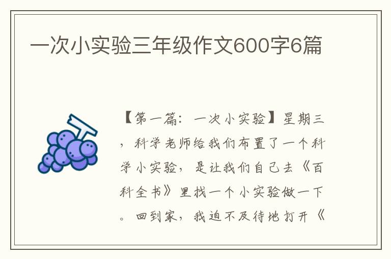 一次小实验三年级作文600字6篇