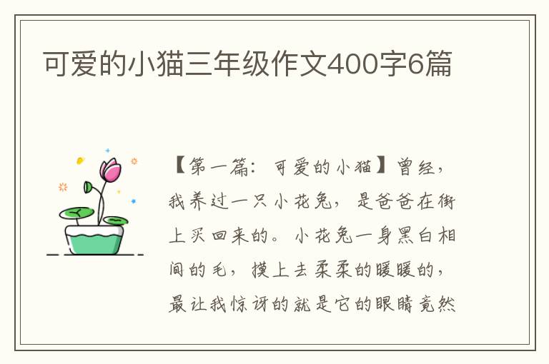 可爱的小猫三年级作文400字6篇