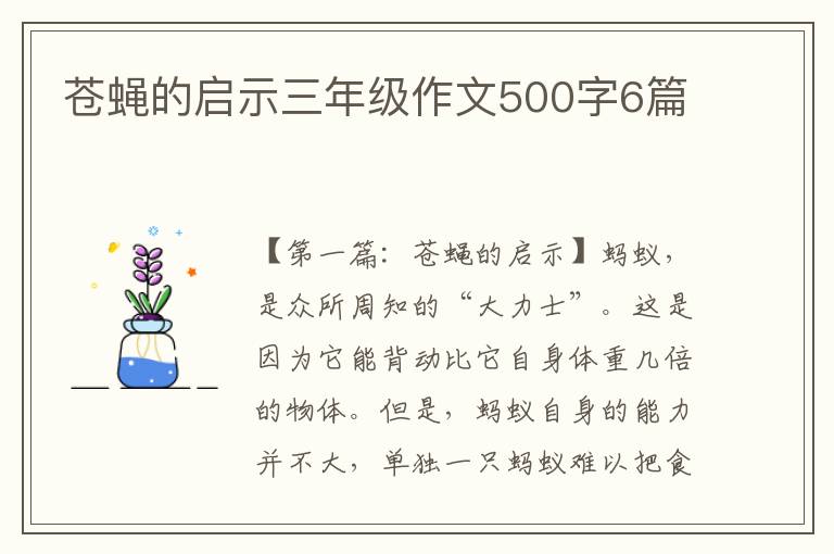 苍蝇的启示三年级作文500字6篇