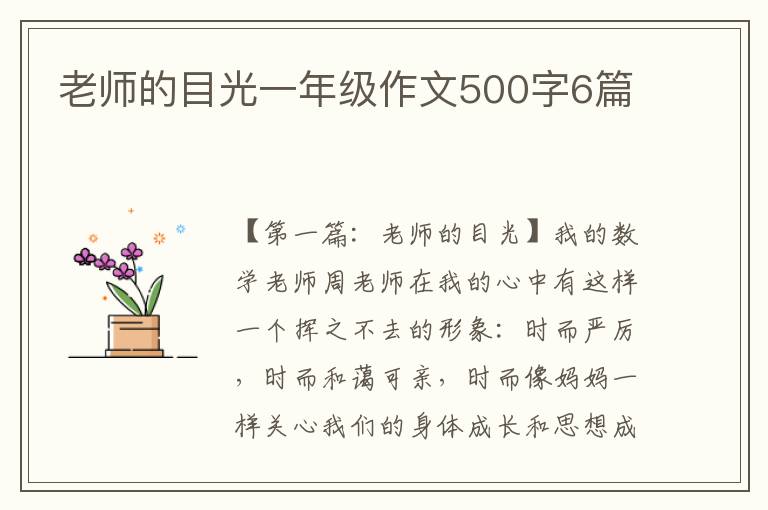 老师的目光一年级作文500字6篇