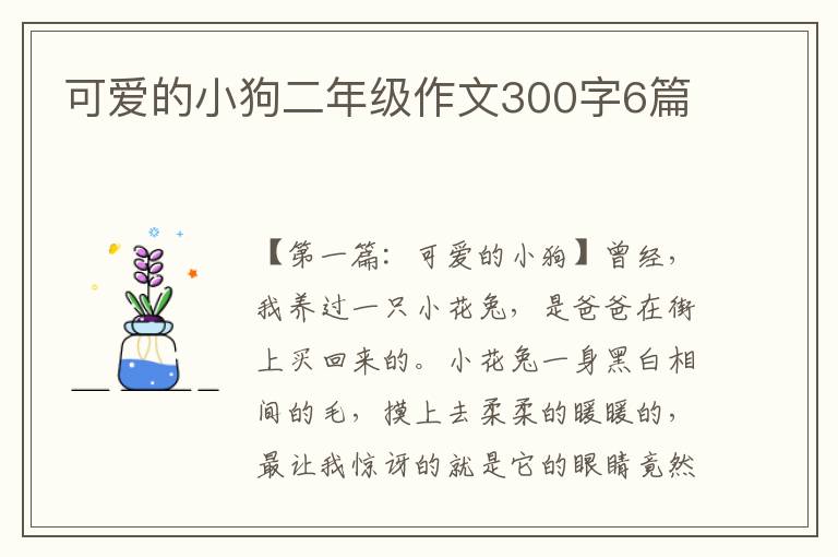 可爱的小狗二年级作文300字6篇