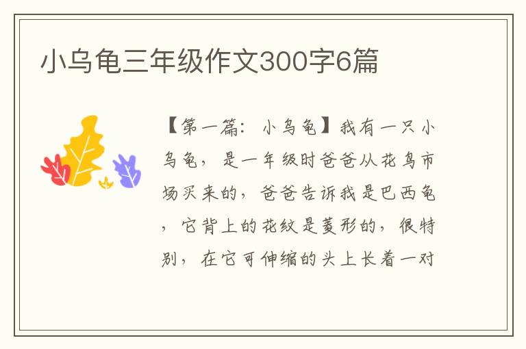 小乌龟三年级作文300字6篇