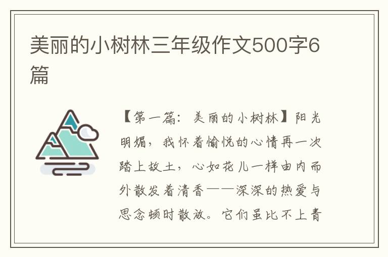 美丽的小树林三年级作文500字6篇