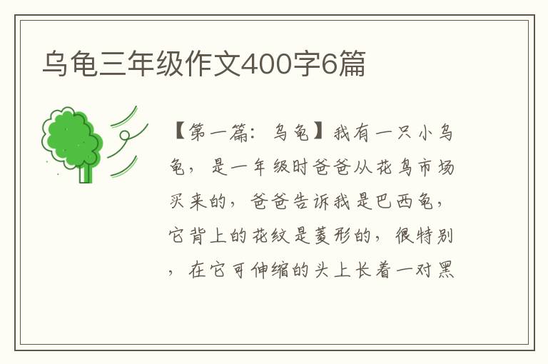 乌龟三年级作文400字6篇